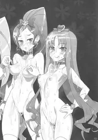 (C79) [Digital Accel Works (INAZUMA.)] INAZUMA SILHOUETTE (Heartcatch Precure!)