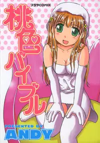 [ANDY] Momoiro Bible