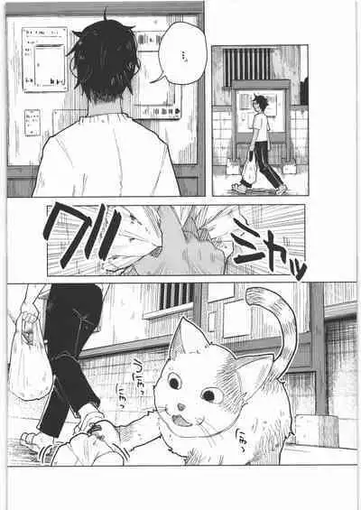 (C89) [Chemical Janky (Shiruka Bakaudon)] Zenbu Matomete Bokobokorin!