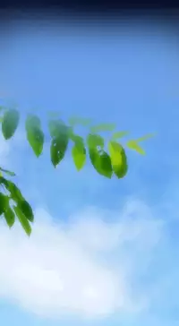 [Hong BanJang] Aharoo Ch.1-35 (English) (YoManga) (Ongoing)