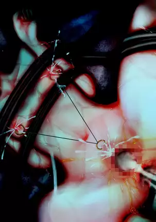 Muhannou-kei Enkou Shoujo to Zettai Wakarase Zetsurin Oji-san