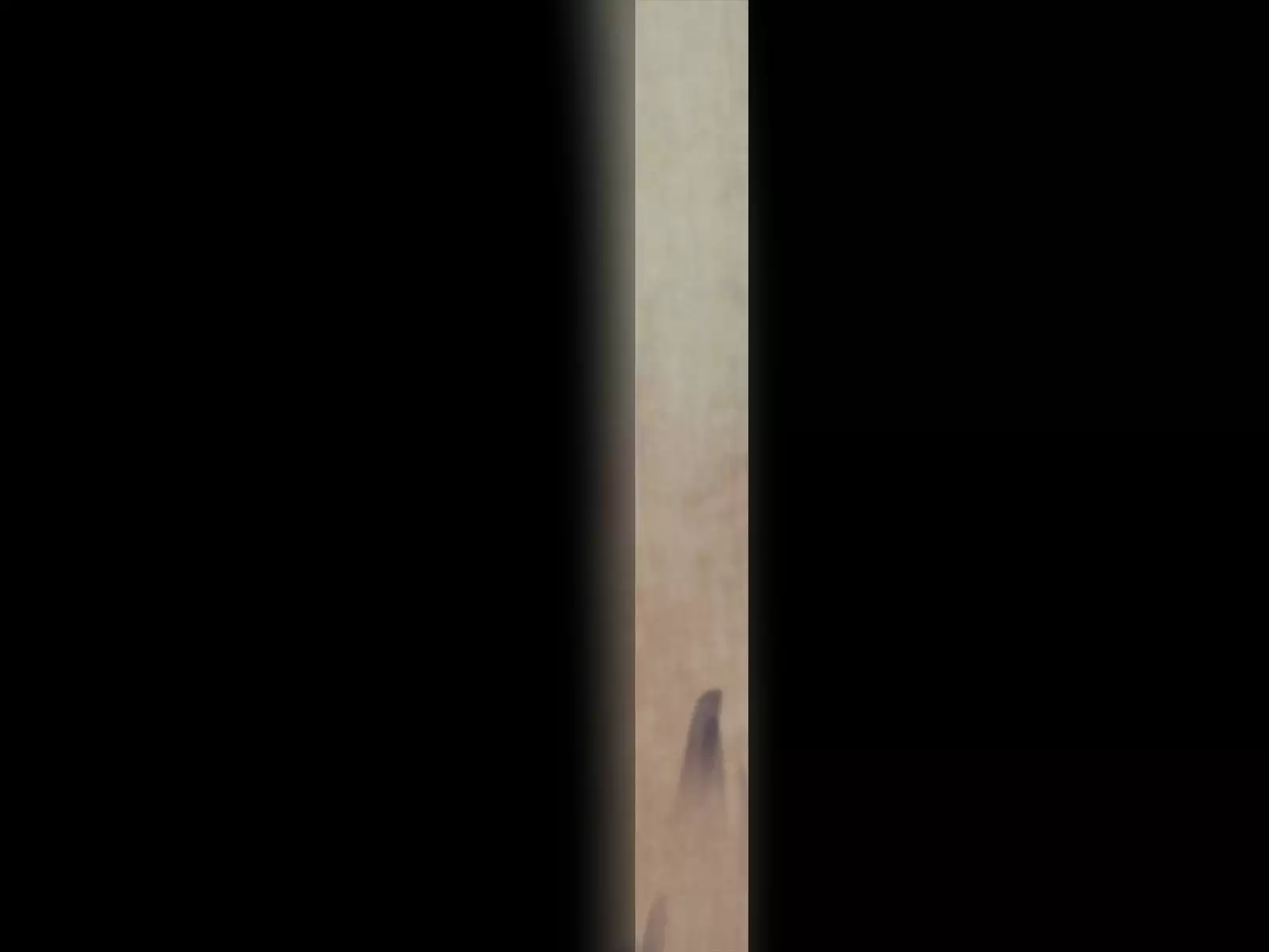 Namaiki na Otouto no Taisetsu na Kanojo o Muriyari Okashite Netotta Hi