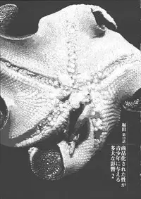 [Yamamoto Naoki] Hotta 2