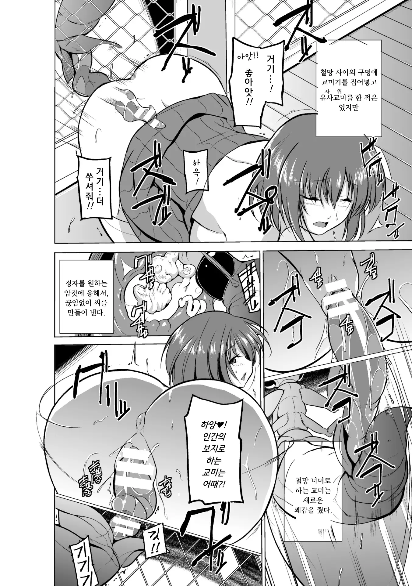 Mushi Asobi | 벌레유희