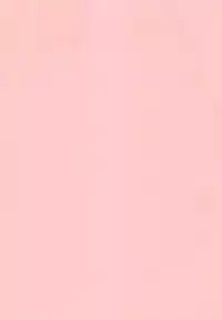 [Chataro] Nami SOS! Naoko Black Bird