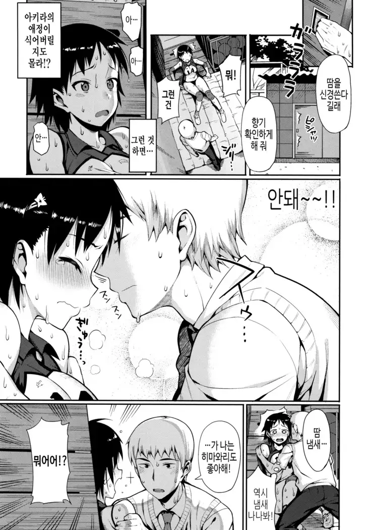 연인사이 plus / コイナカplus