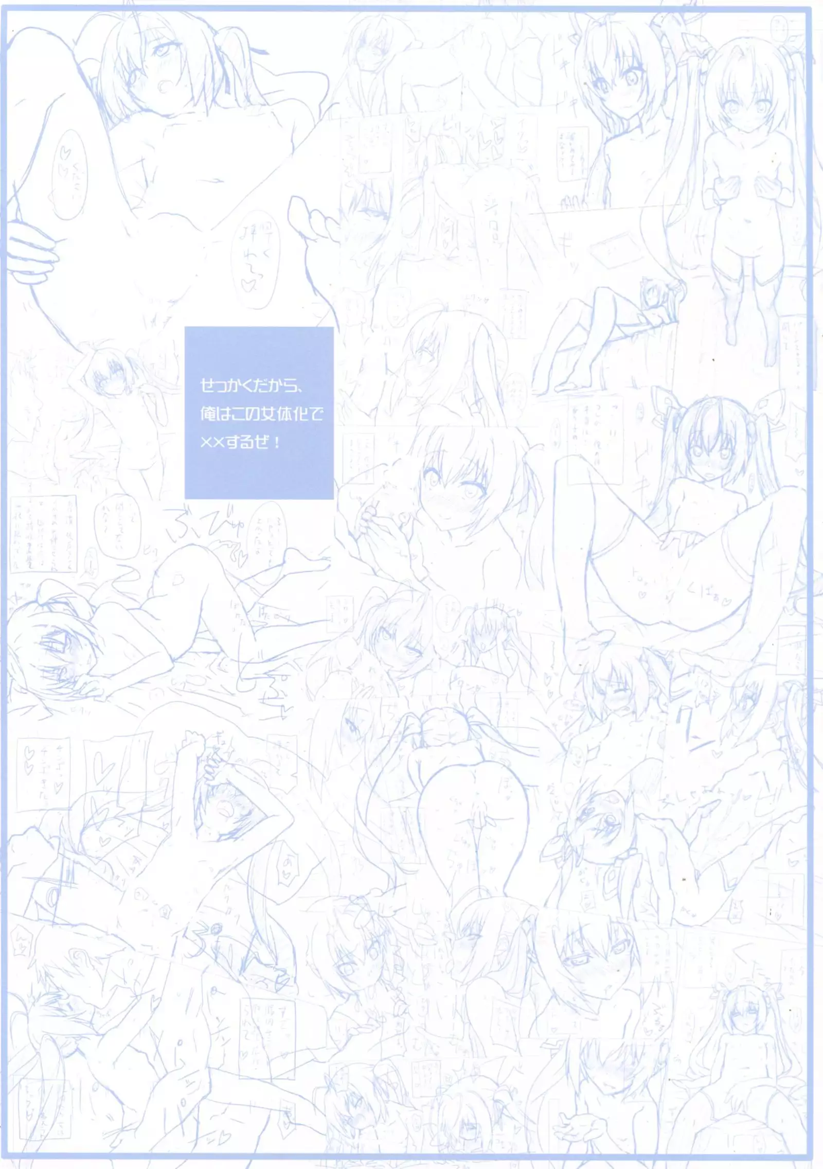 Sekkaku Dakara, Ore wa Kono Nyotaika de xx Suru ze!