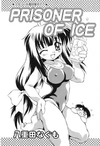 [Anthology] Pure Petit Vol. 8