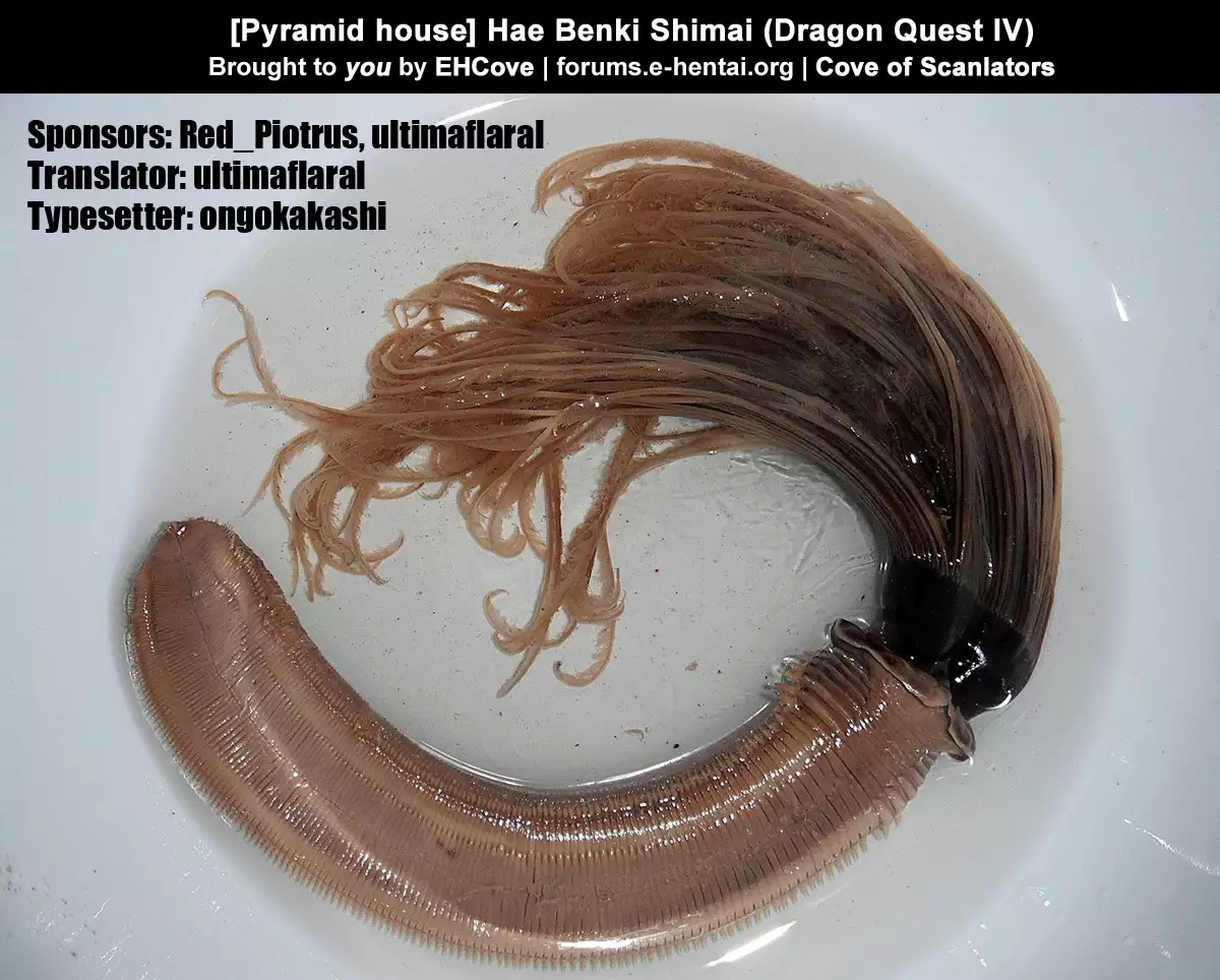 Hae Benki Shimai | Fly Cum-Dump Sisters