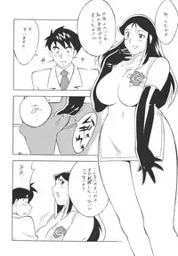 (CR33) [Rippadou (H-H)] H-H Soushuuhen 2 (Various)