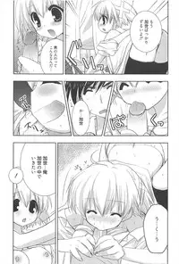 [Nekoyashiki Nekomaru] Sugar Spot