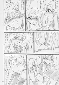 (C70) [EINSATZ GRUPPE (Charlie Nishinaka)] PRISONER 8 Miserable Birds (Gundam SEED DESTINY)