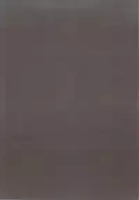 (C83) [Kappaya (Katte ni Kappa)] Nisemono 2 (Nisekoi)