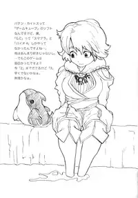 (C71) [Circle M.O.E (Jun)] B (Final Fantasy XII)