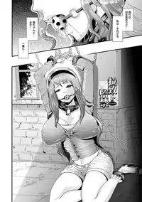 [Shomu] Higyaku to Kousoku [Digital]