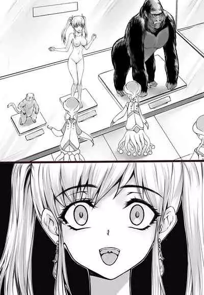 shinenkan Rare stuffed animals