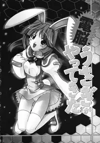 [Himehachi] Radical Vector