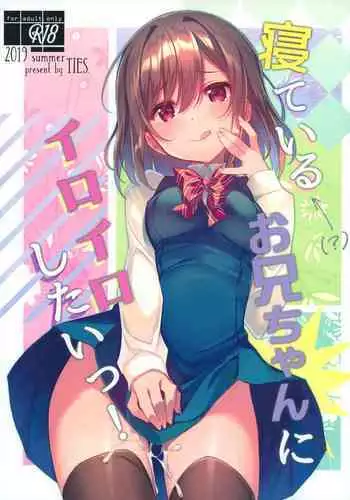 (C96) [TIES (Takei Ooki)] Neteiru (?) Onii-chan ni Iroiro Shitai! | I Want to Do Lots of Things With My Sleeping Onii-chan! [English] [TRJR]