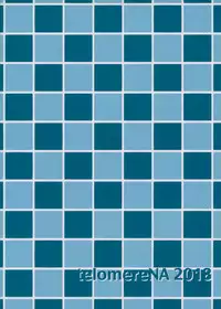 (C94) [telomereNA (Gustav)] Nagisa no Hanayome (THE IDOLM@STER CINDERELLA GIRLS) [Chinese] [CastlevaniaYB]