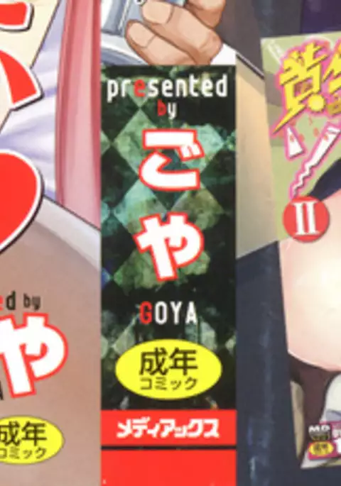 Himitsu ni Shitetai Watashi-tachi no Seijijou