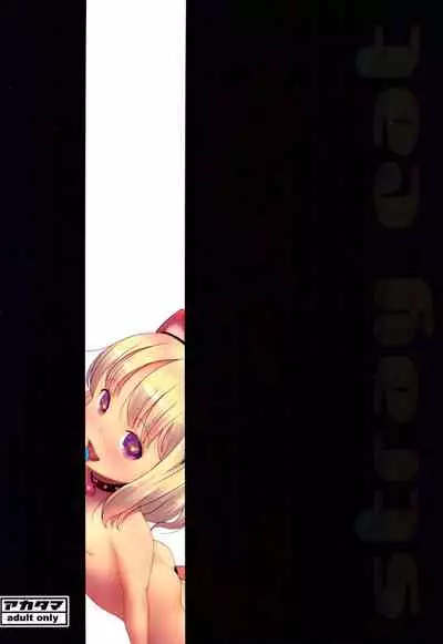 (C96) [Akatama (Sakurafubuki Nel)] Stray cat [English]