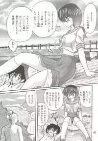 [Kamitou Masaki] Seirei Tokusou Fairy Saber W - Seibo Ingyaku