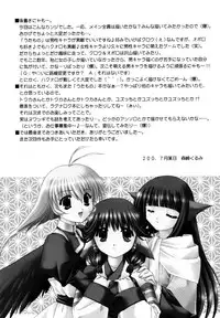 (C62) [C.A.T (Morisaki Kurumi)] Bright (Utawarerumono)