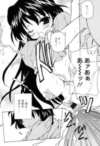 [Yasui Hirosato] Tennen Milk Pie