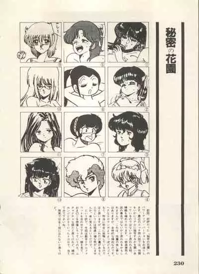 Bishoujo Shoukougun 6