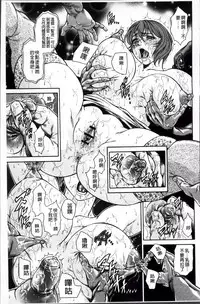 [Hino Toshiyuki] Injukujo Niku Zanmai [Chinese]