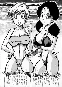 [Takimoto Dojo (Kyuusho Tarou)] Meisou Oyako Natsu (Dragonball)