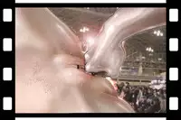 [NEO’GENTLE] Virginal Relna 1