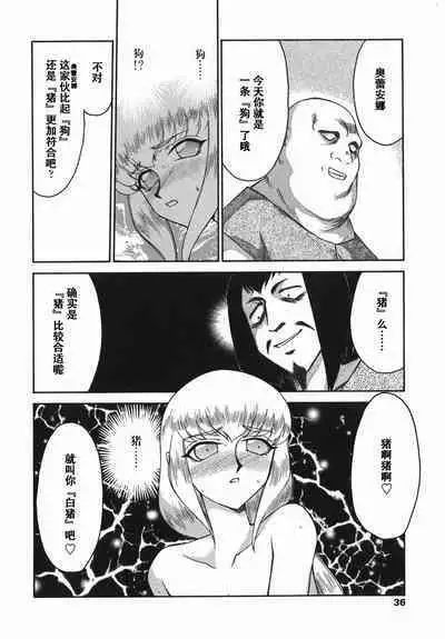 Kamen no Kishi Orleana Kouhen