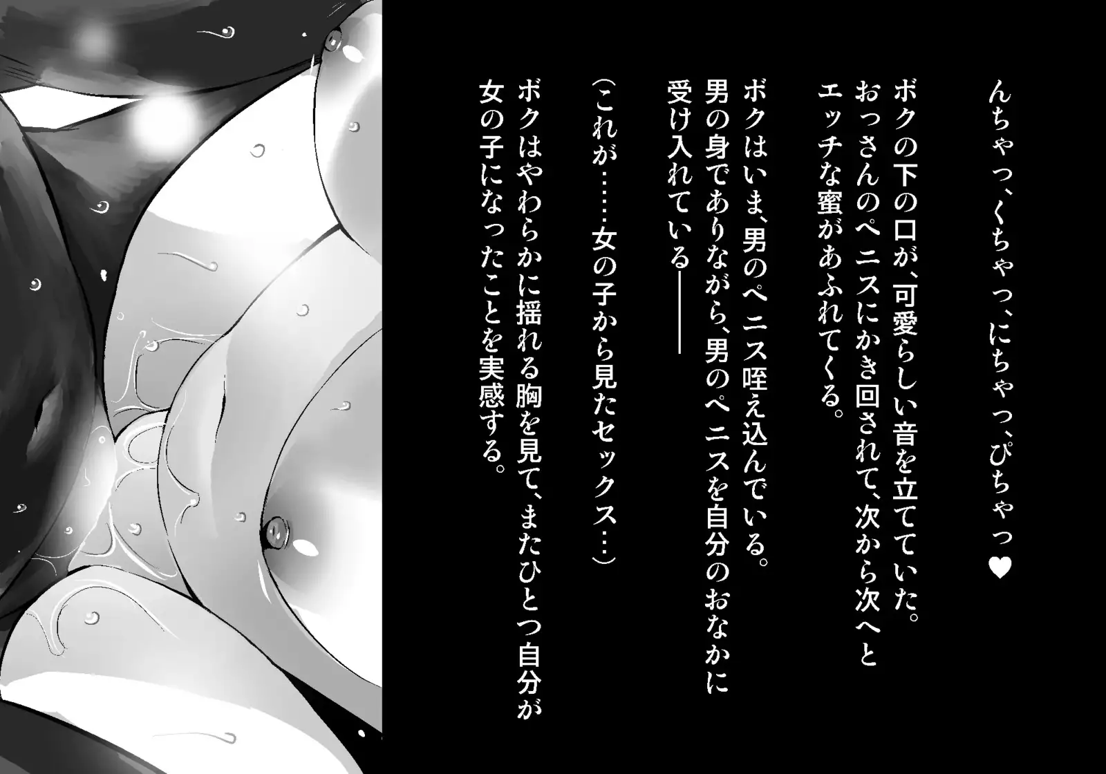 フェアリーセティ