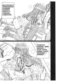 RETTOUSEI FILE Shiba Miyuki Gazoushuu