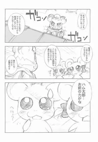 BATTLE FOR THE PLANET OF THE HAMS