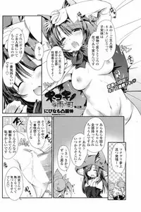 Comic Penguin Club 2008-11