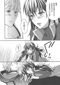 (SPARK7) [Q.O.N (Sawako)] Hashitanakute Gomennasai (Fire Emblem Kakusei)