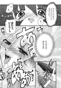 (Shinrin Ryokujyu) B O C M - the complete edition