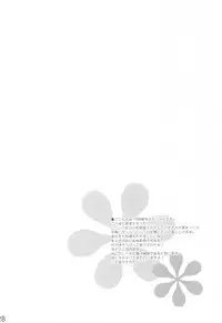 (C75) [THE FLYERS (Naruse Mamoru)] SELFPORTRAIT 2008