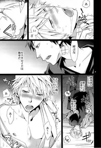 (C78) [Crazy9 (Ichitaka)] SEXAROID (Durarara!!)