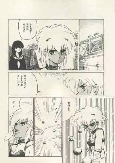 Bishoujo Shoukougun 6