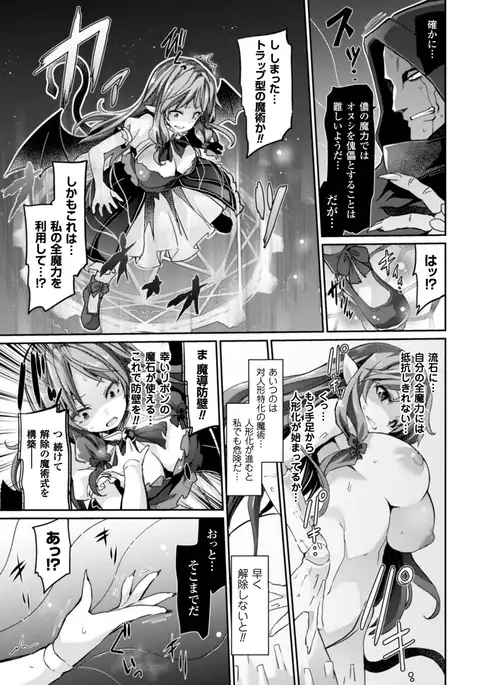 Kairaku Ningyo Ideologie - Sexadoll Ideologie