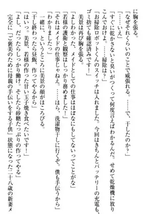 年上メイドの新婚日記