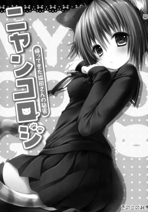Nyancology -Kaettekita Nekota-san no Himitsu- | Nyancology -Homecoming Nekota-san's Secret-