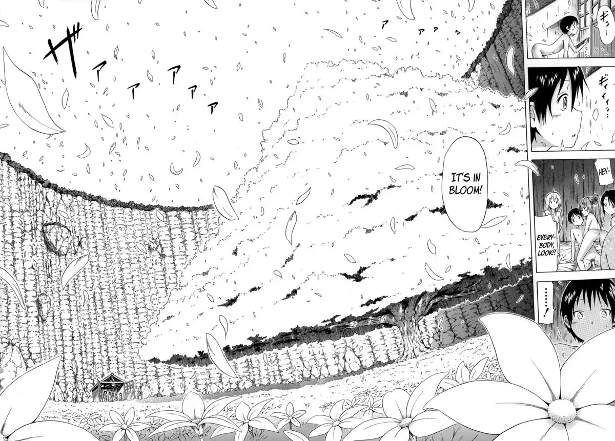 Natsumitsu x Harem! Ch. 1-5