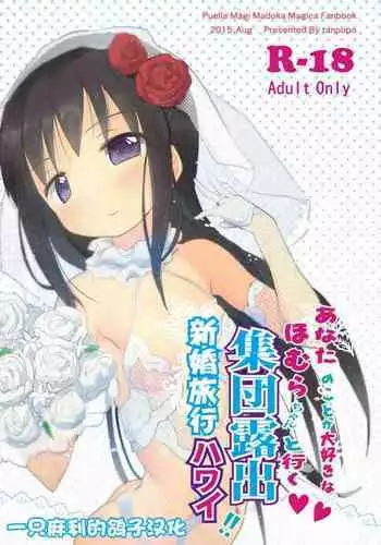 Anata no Koto ga Daisuki na Homura-chan to Iku Shuudan Roshutsu Shinkon Ryokou Hawaii!!