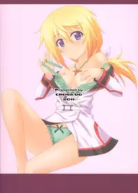 (COMIC1☆5) [CROSS-DO (Masakichi)] Infinite Sex (Infinite Stratos)