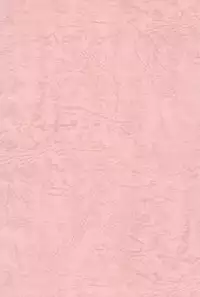 (C54) [Kinman Shouji (Various)] GUNK Kaiteiban (Fun Fun Pharmacy)