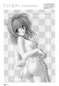 LOVERS ~Koi ni Ochitara...~ Official Visual Collection Book